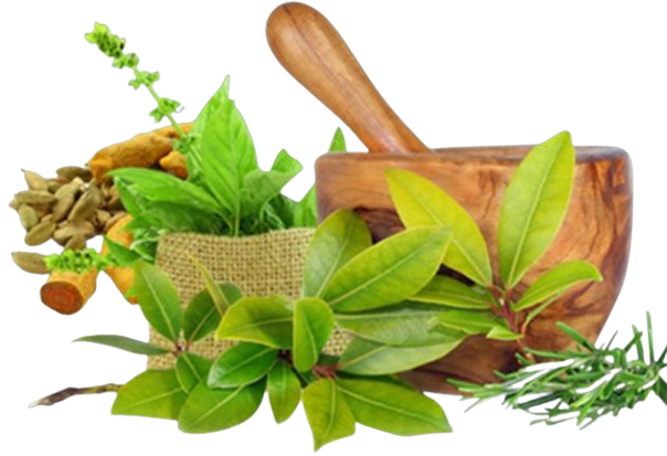 1000019165 removebg preview (1)